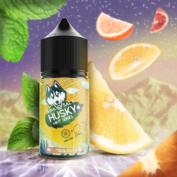 Купить Жидкость Husky Mint Series Salt - Citrus Days 30 мл