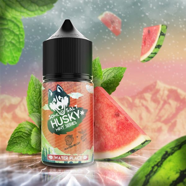 Купить Жидкость солевая для пода Husky Mint Series Salt - Water Place 30 мл