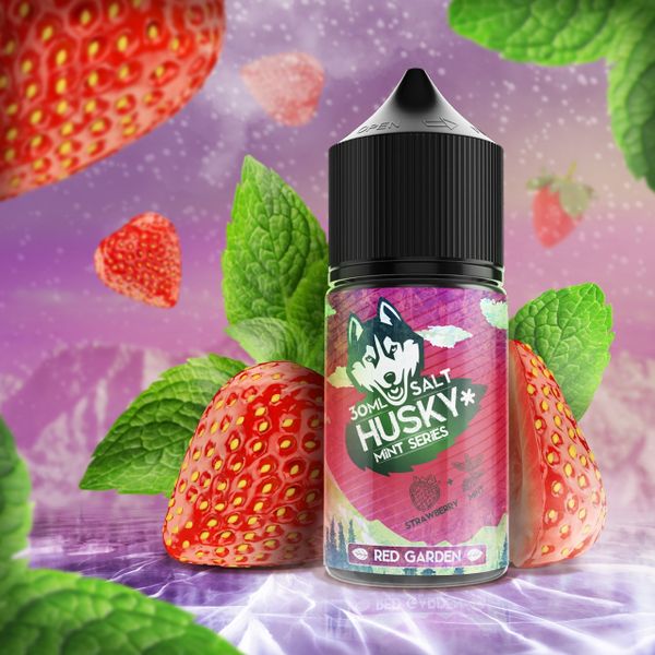Купить Жидкость солевая для пода Husky Mint Series Salt - Red Garden 30 мл