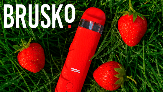 Купить Обзор на Brusko Minican 4