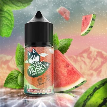 Купить Жидкость Husky Mint Series Salt - Water Place 30 мл