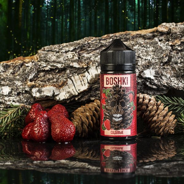 Купить Жидкость для электронной сигареты Boshki - Садовые