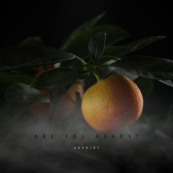 Купить Жидкость Riot Squad Original - Black Edition #1 60 ml