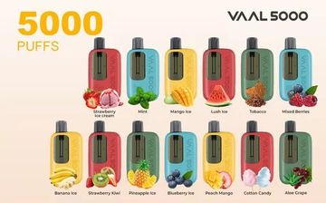 Купить Одноразовый Pod Joyetech VAAL - Mango Ice (5000 затяжек)