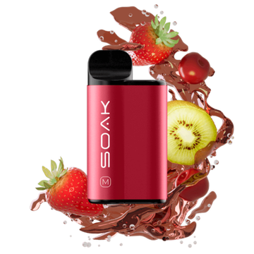 Купить Одноразовый Pod Soak M - Fruit Belgian Beer (4000 затяжек)